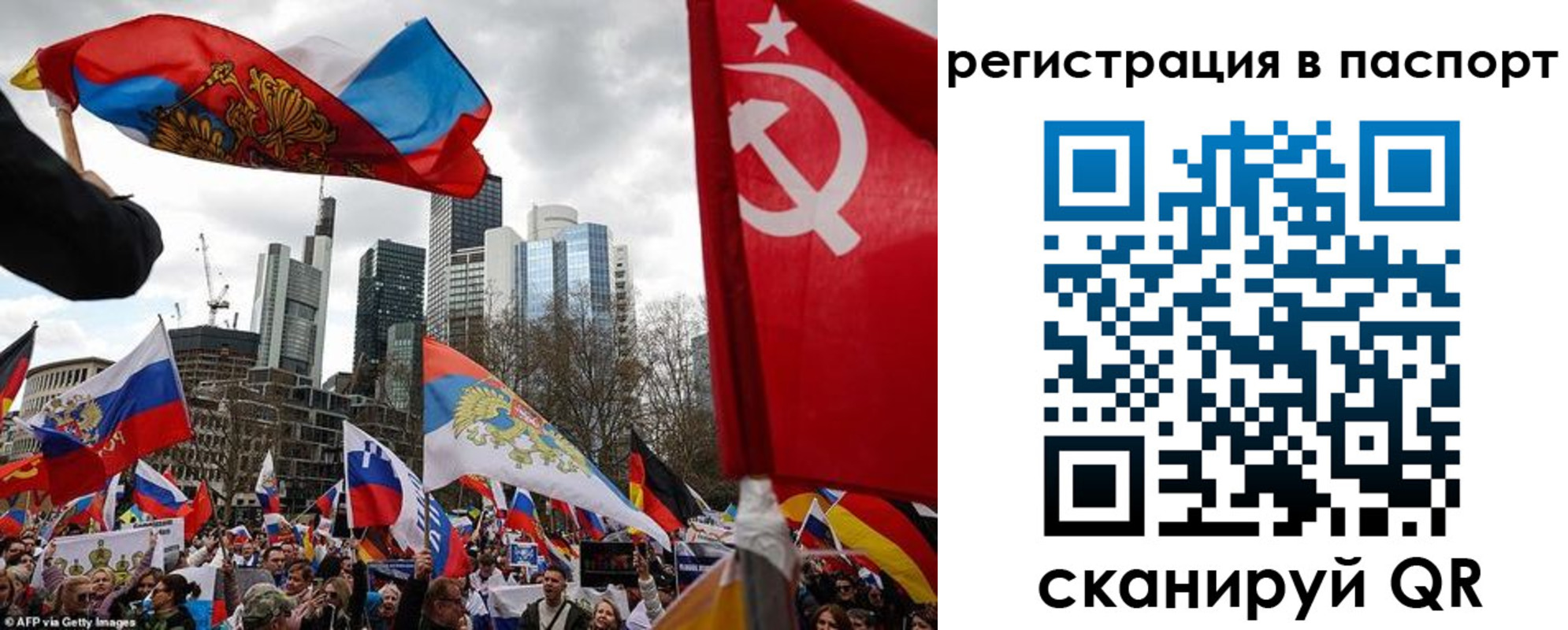 временная регистрация поиск в Купино