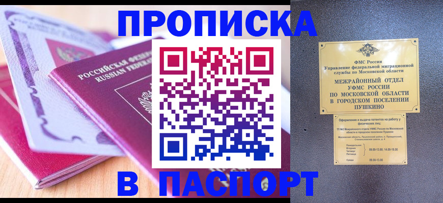 прописка законно в Купино